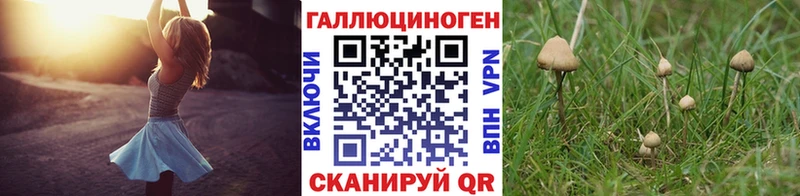 Псилоцибиновые грибы MAGIC MUSHROOMS  Темрюк 